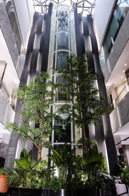 1593311603804403.png 8.png